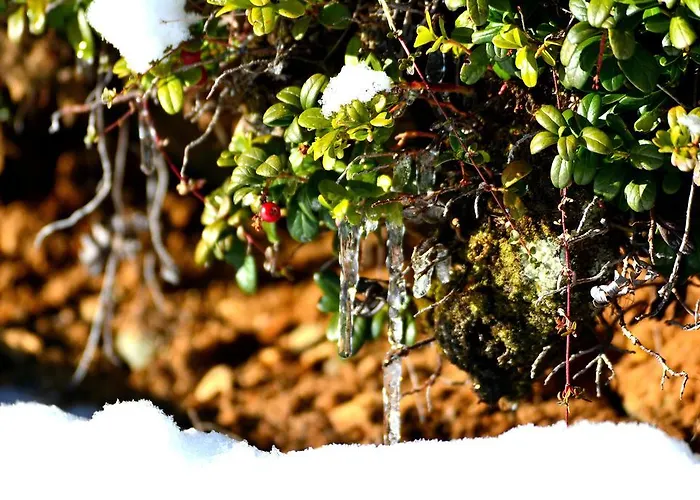 朗德尔酒店 酒店 加尔蒂